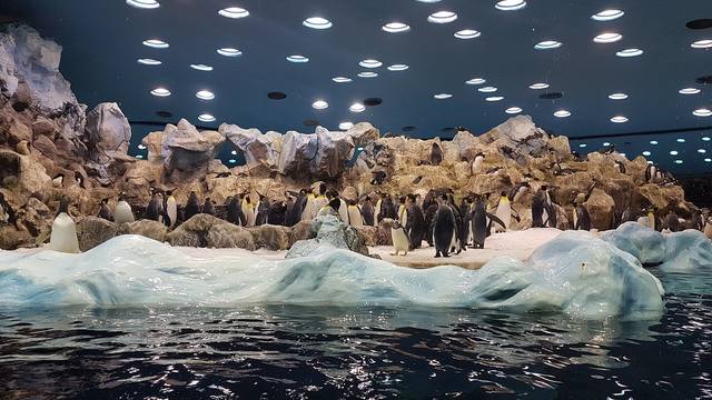 ����-���� � ������-��-��-����9