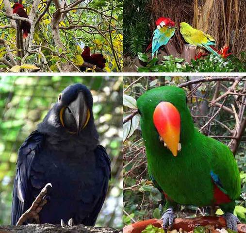 ����-���� � ������-��-��-����5