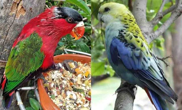 ����-���� � ������-��-��-����6