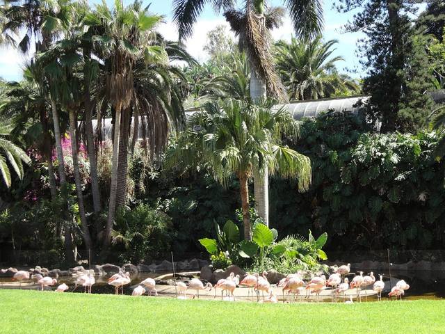 ����-���� � ������-��-��-����10