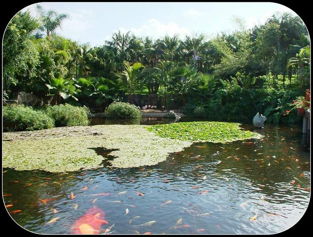 ����-���� � ������-��-��-����13