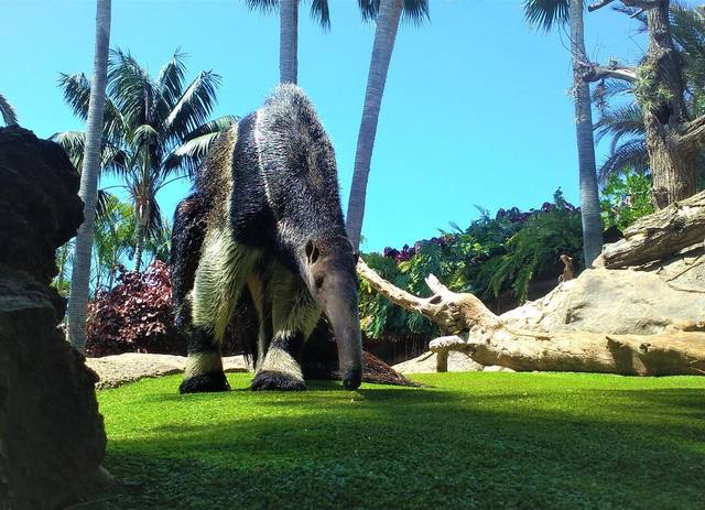 ����-���� � ������-��-��-����12