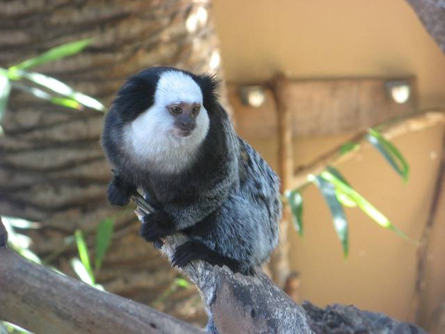 ����-���� � ������-��-��-����15