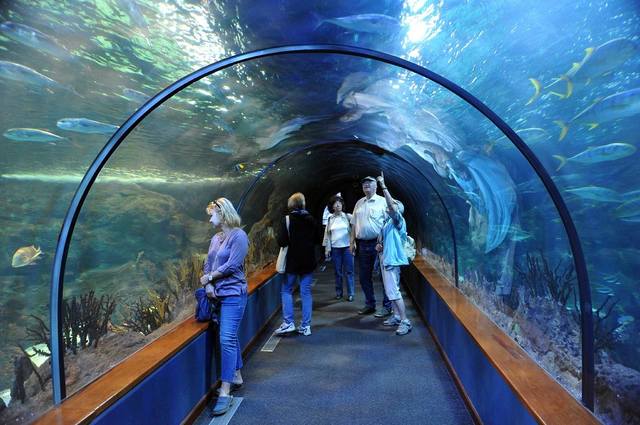 ����-���� � ������-��-��-����21