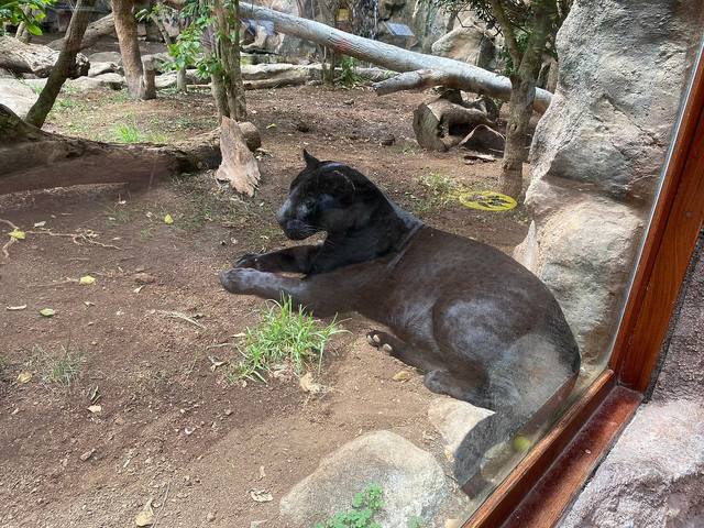 ����-���� � ������-��-��-����19