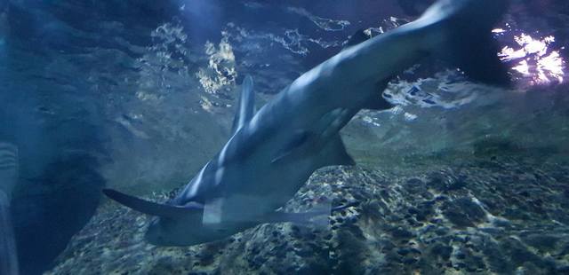 ����-���� � ������-��-��-����22