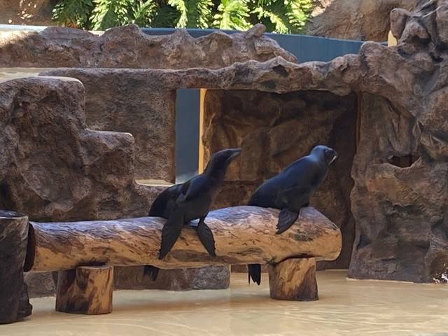 ����-���� � ������-��-��-����16