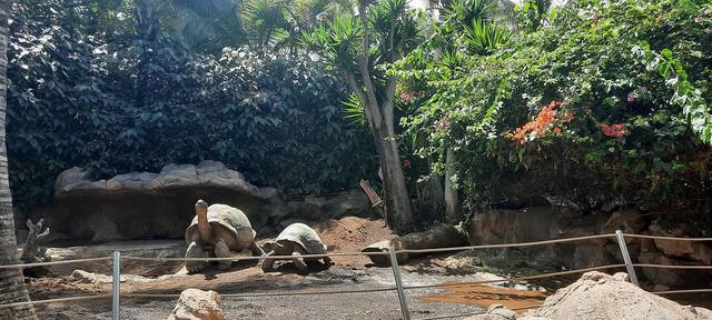 ����-���� � ������-��-��-����17