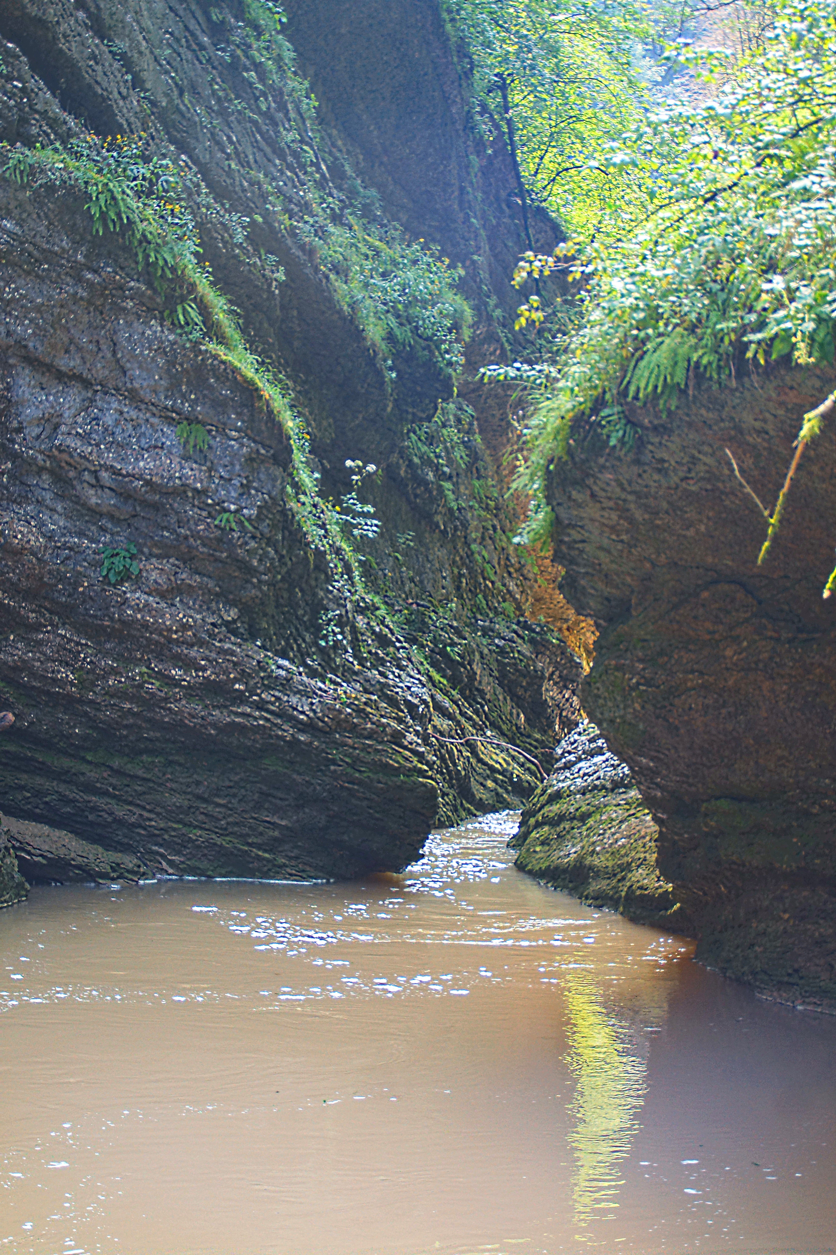 Гуамское ущелье с рекой Курджипс. Фото Морошкина В.В.