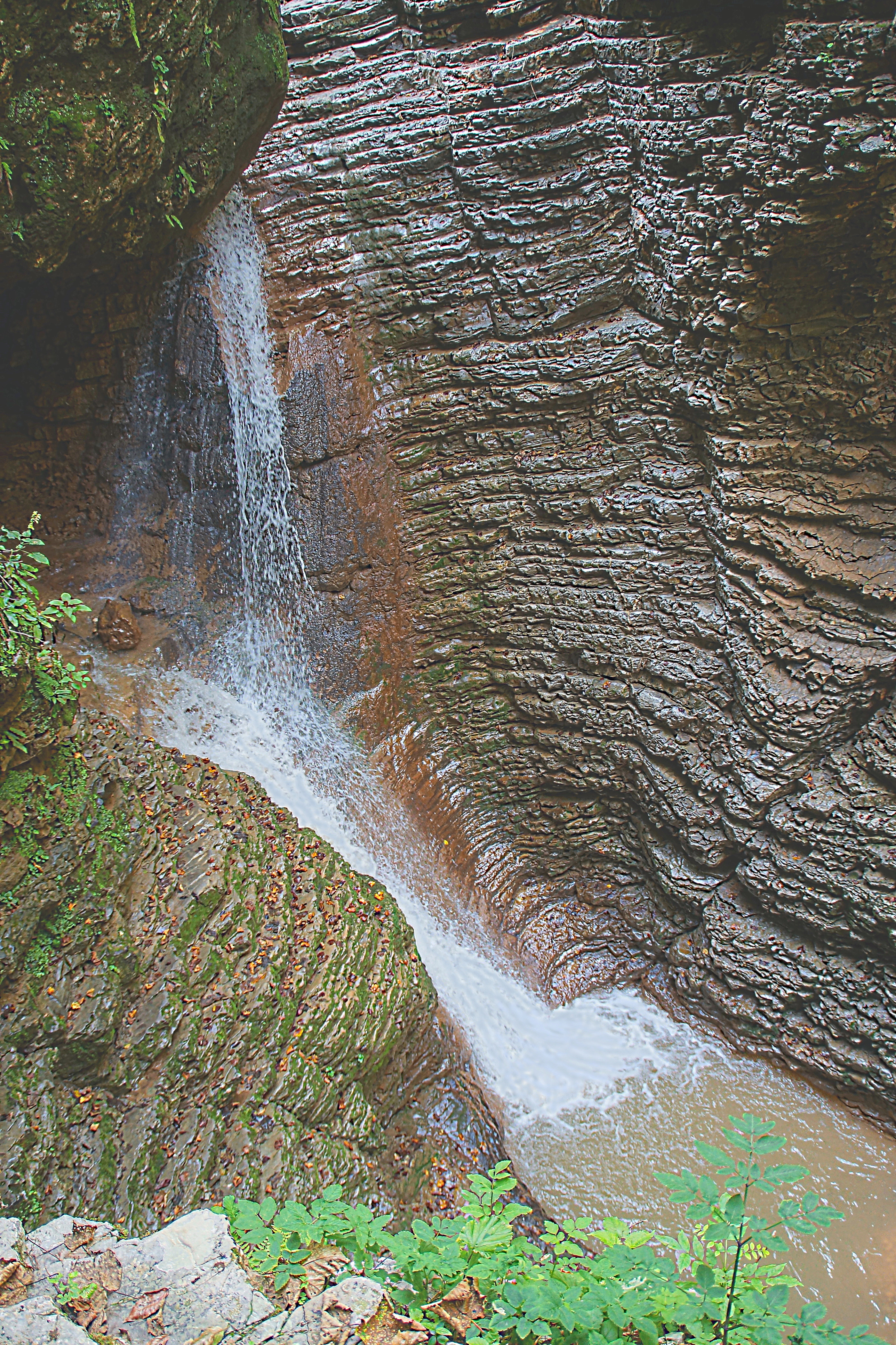Водопад Сердце Руфабго на горном ручье. Фото Морошкина В.В.