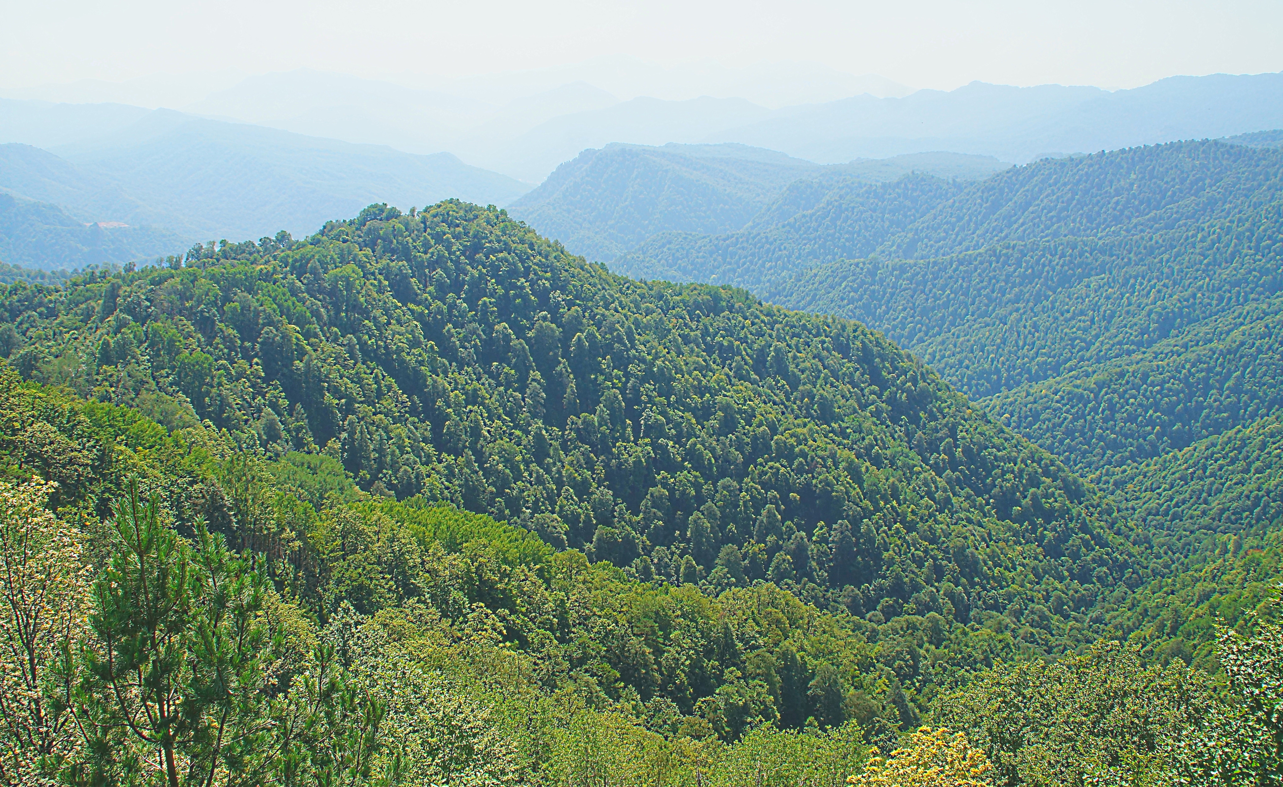 Лесистые горы Адыгеи. Фото Морошкина В.В.