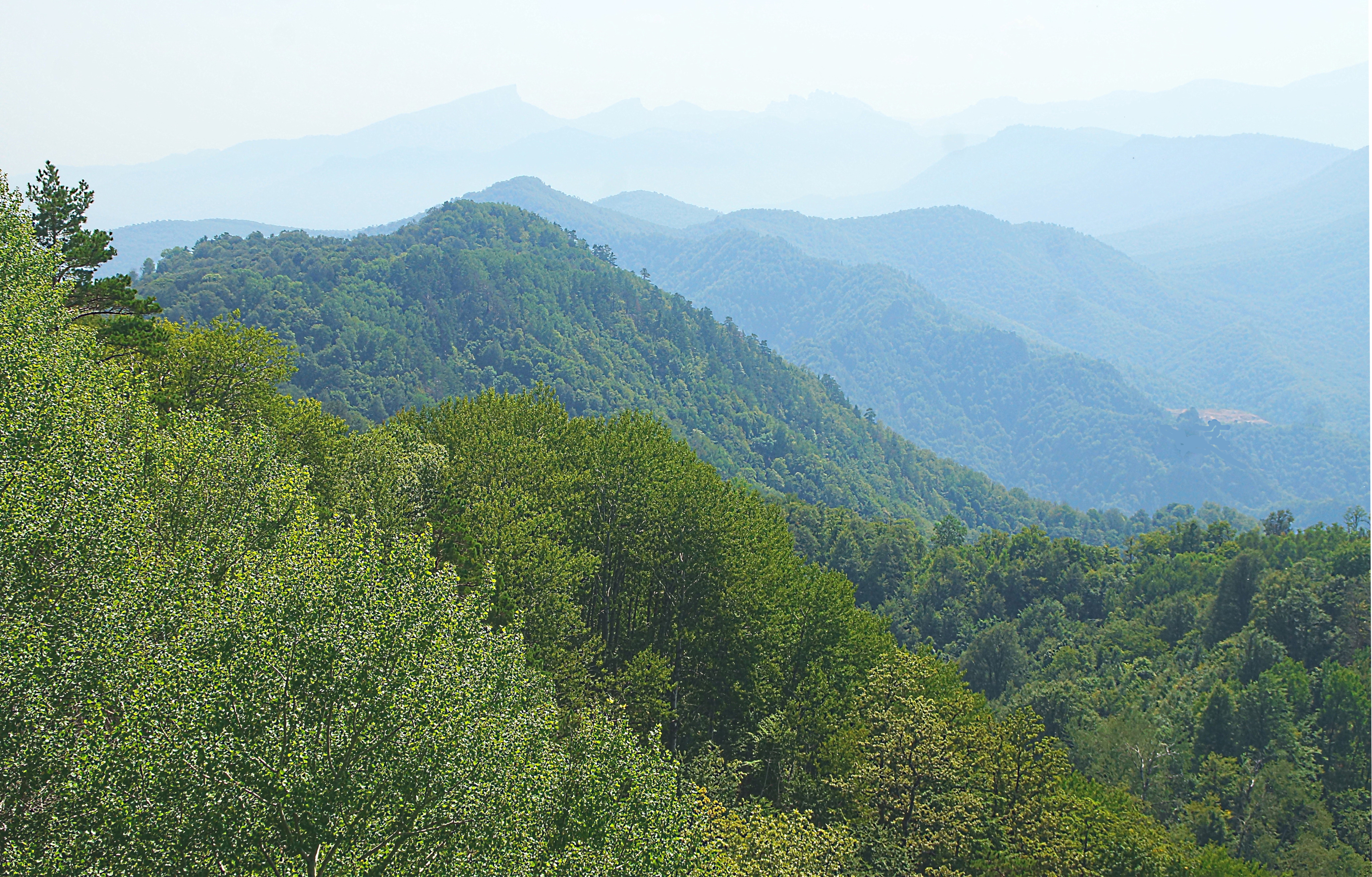 Лесистые горы Адыгеи. Фото Морошкина В.В.