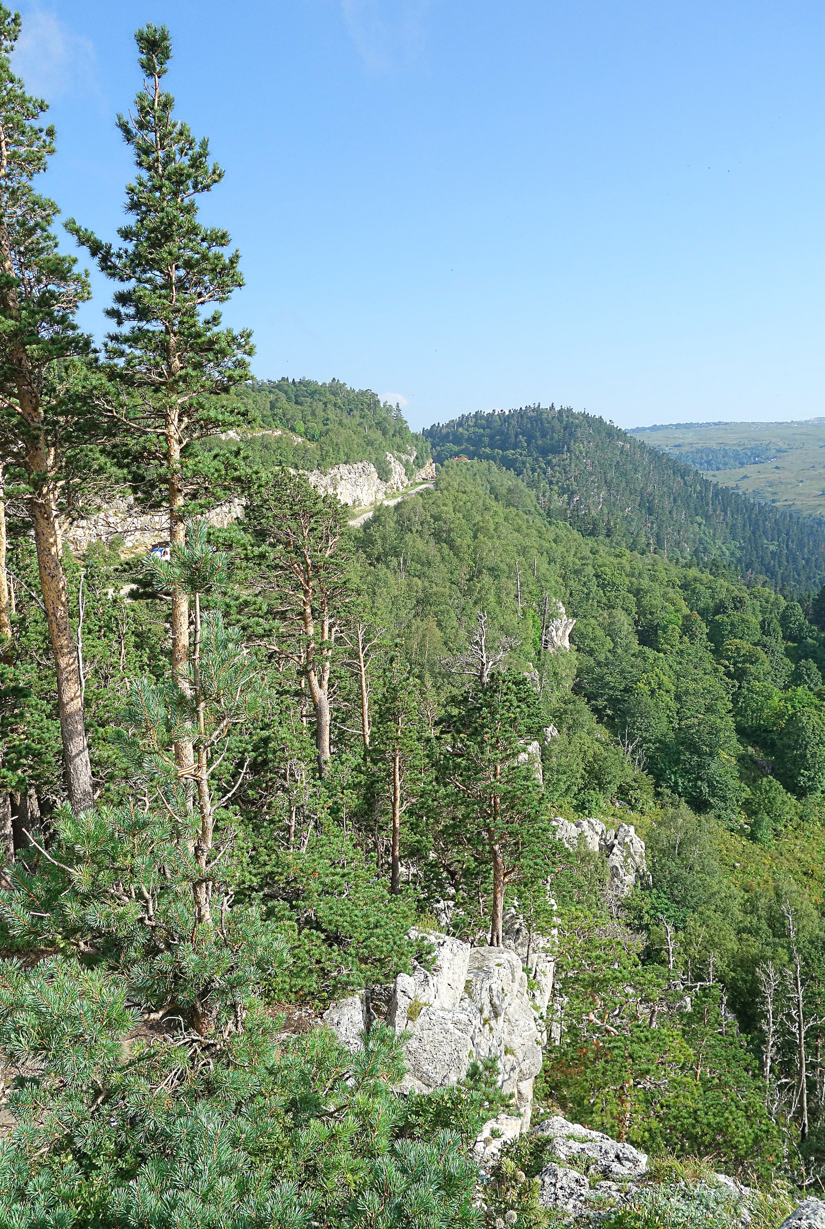 Леса и скалы гор Адыгеи. Фото Морошкина В.В.