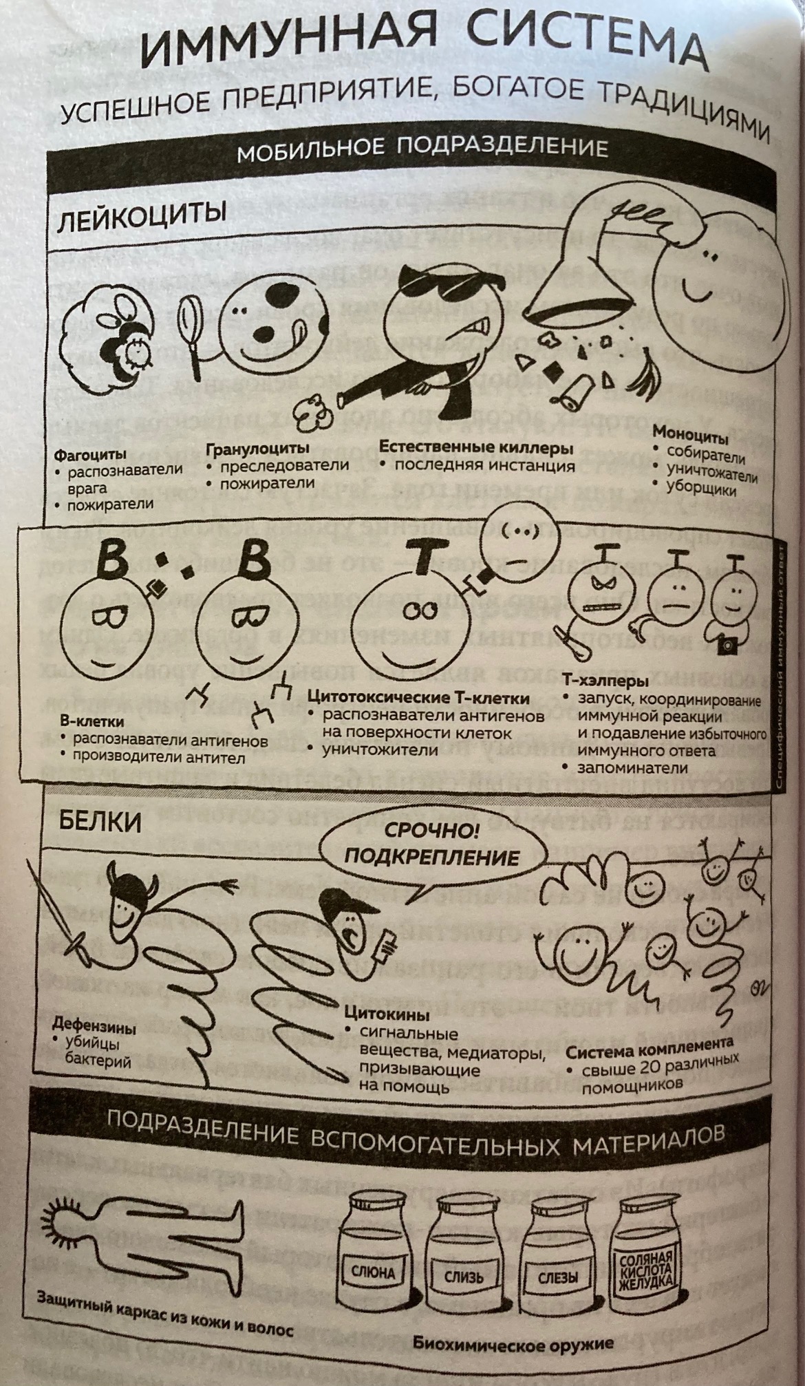 иммунка