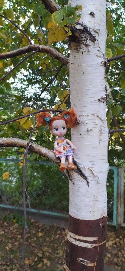 VFL.RU - ваш фотохостинг