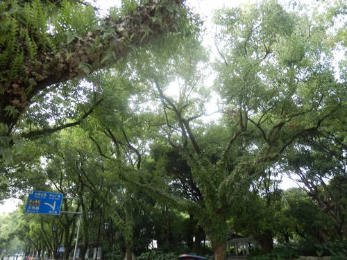 35862844_m.jpg