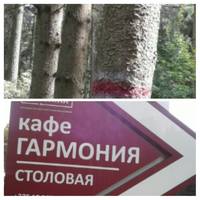 VFL.RU - ваш фотохостинг