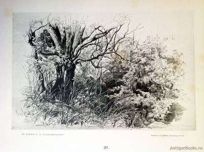 35877592_m.jpg