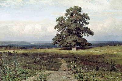 35877848_m.jpg