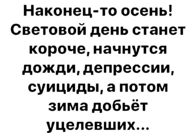 картинка1