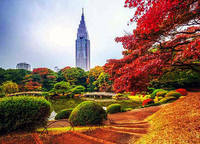 9Парк Синдзюку ГёэнТоккио.