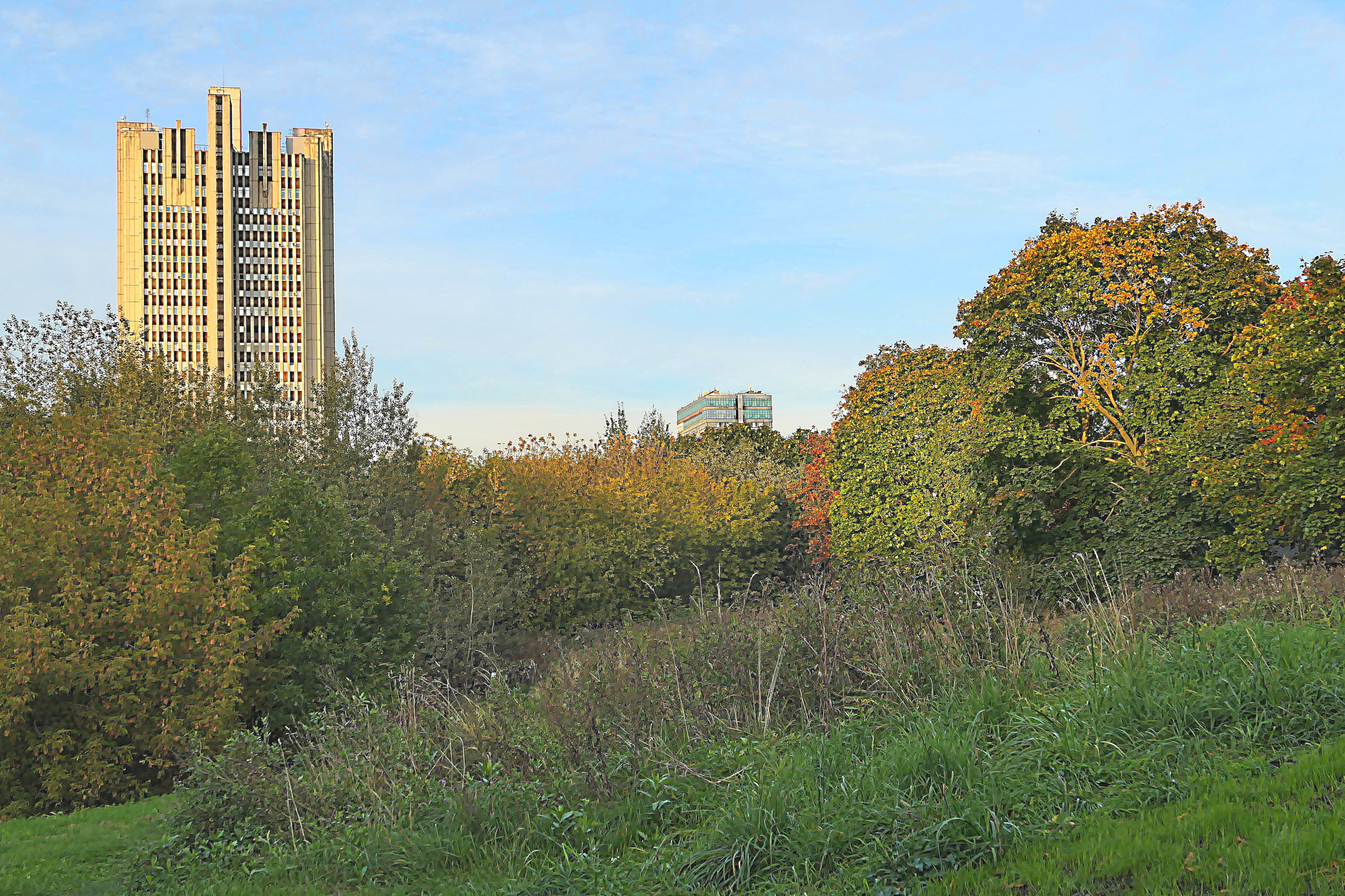 В парке 50-летия Октября. Фото Морошкина В.В.