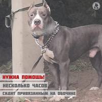 VFL.RU - ваш фотохостинг