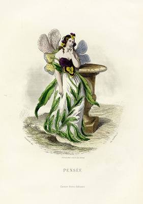 35982966_m.jpg