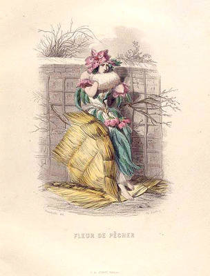 35982990_m.jpg