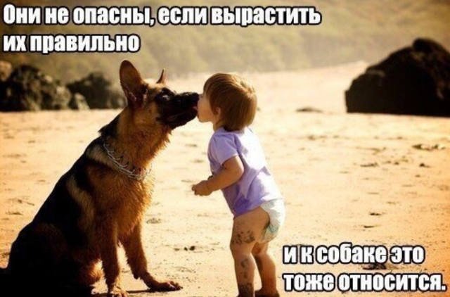 анекдот