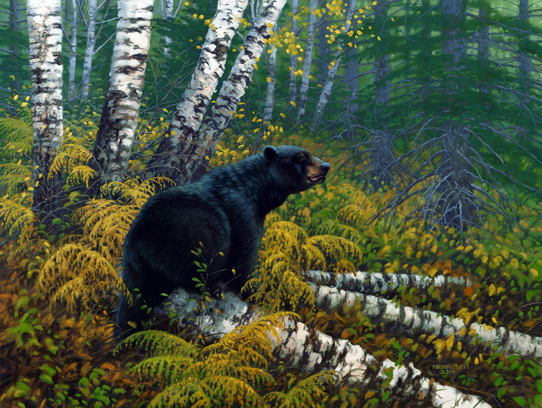 Картина медведь в лесу