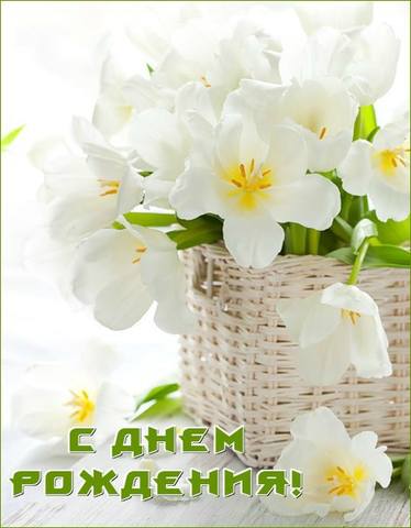 Tapтaлeтки & Ко