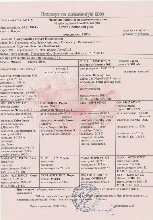 Влада род Щеглова Н.Г.