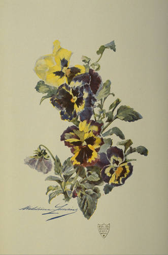 36032610_m.jpg