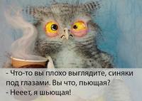image (3)