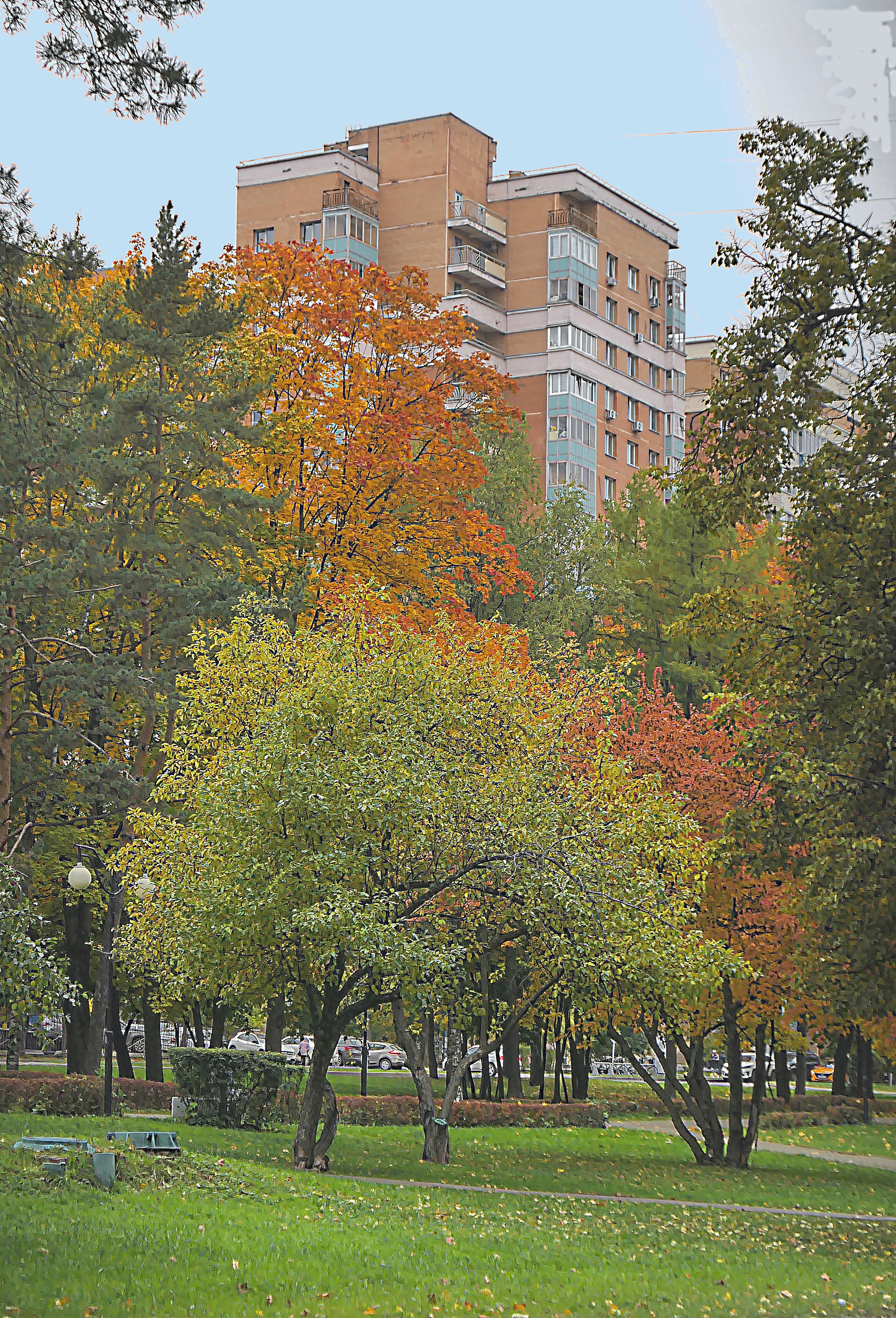На улице Гарибальди осенью. Фото Морошкина В.В.
