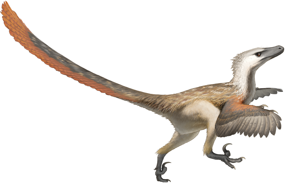 Fred Wierum Velociraptor