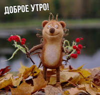 утро