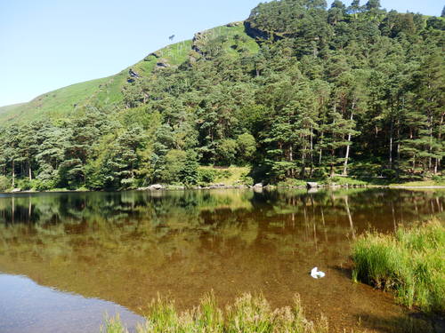 36105146_m.jpg