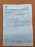 VFL.RU - ваш фотохостинг