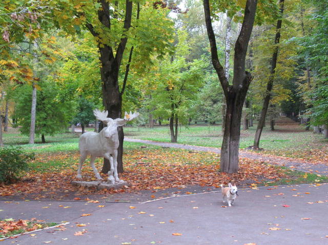 VFL.RU - ваш фотохостинг