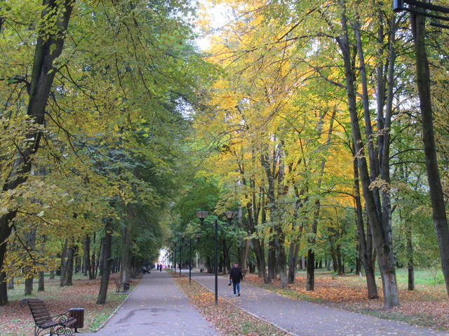 VFL.RU - ваш фотохостинг