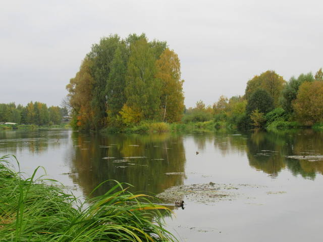 VFL.RU - ваш фотохостинг