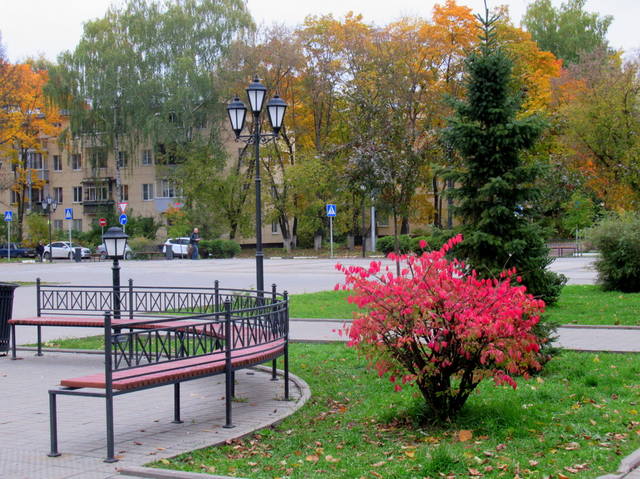 VFL.RU - ваш фотохостинг