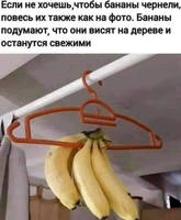 анекдот