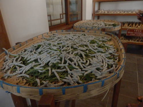 36146418_m.jpg