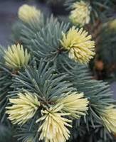 images (6)