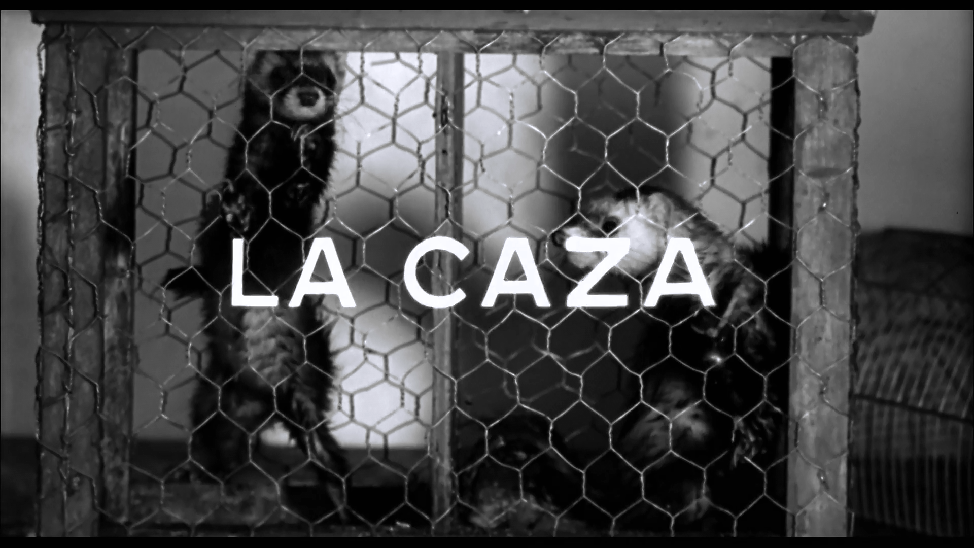 La casa-00