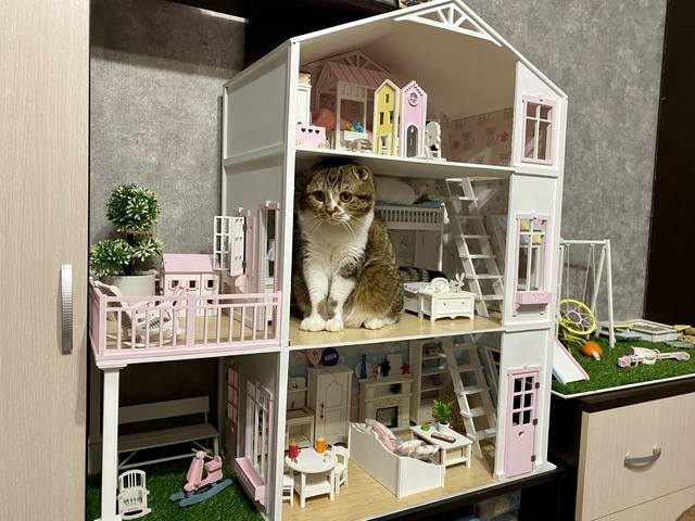 VFL.RU - ваш фотохостинг