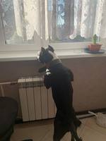 VFL.RU - ваш фотохостинг